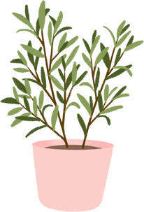 Indoor plant illustration 